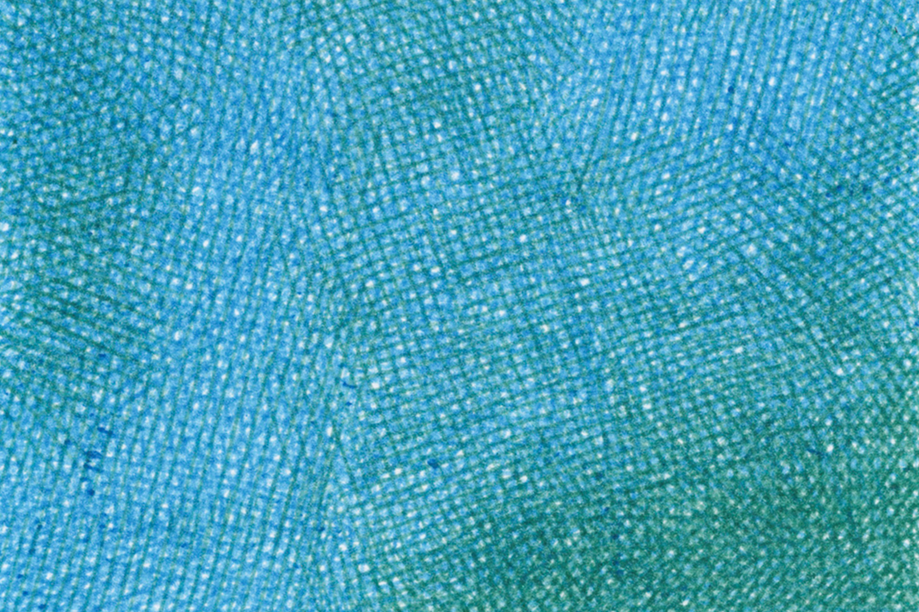 Source VIII, 2024 - Stylos à bille BIC sur papier - 15x15 cm - Inès de Chefdebien