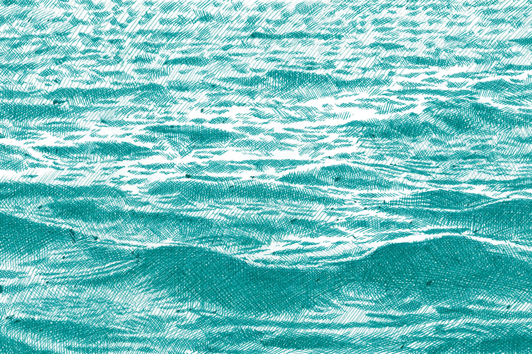 Eaux I, 2019 - Stylo à bille sur papier - 21x30 cm - Inès de Chefdebien
